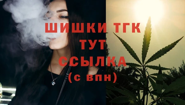 гидра Армянск