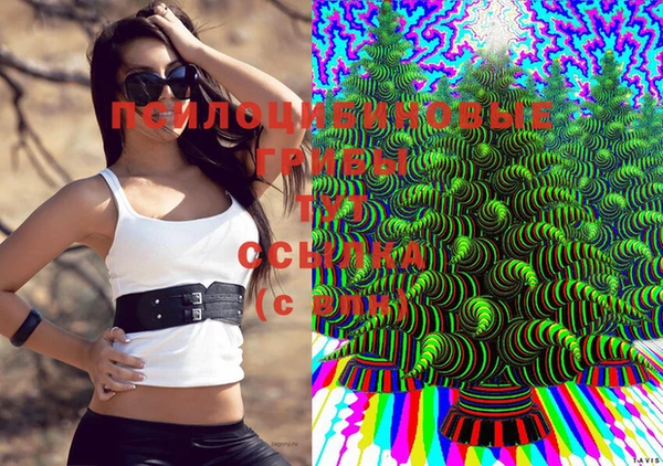 прущая мука Аркадак