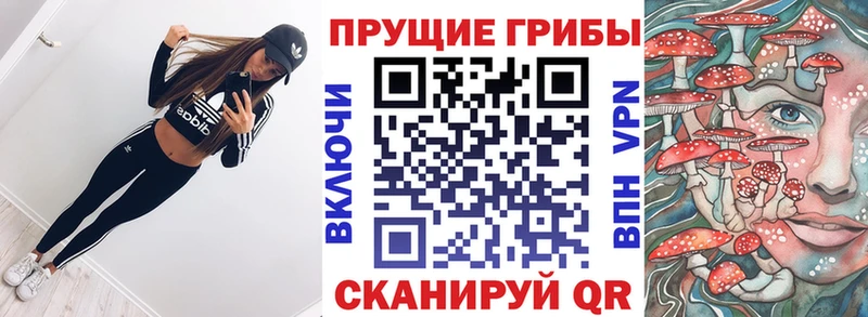 Псилоцибиновые грибы Cubensis  закладки  Сергач 